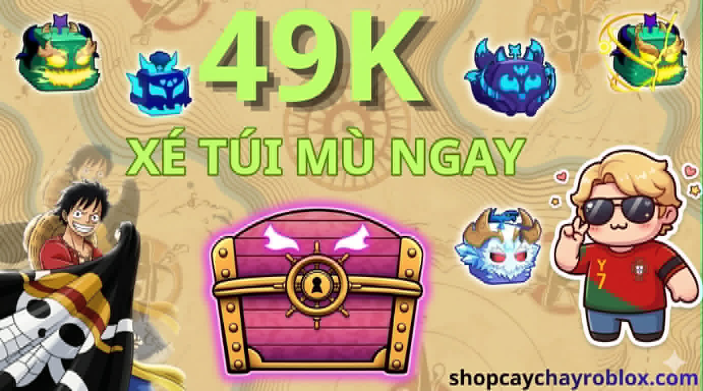 TÚI MÙ 49K - SIÊU NGON