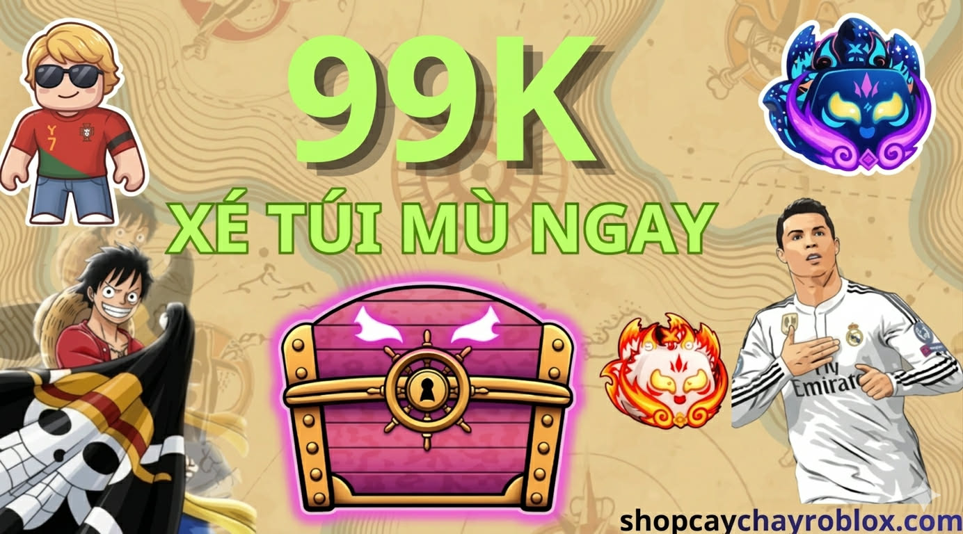 TÚI MÙ 99K - SIÊU VIP
