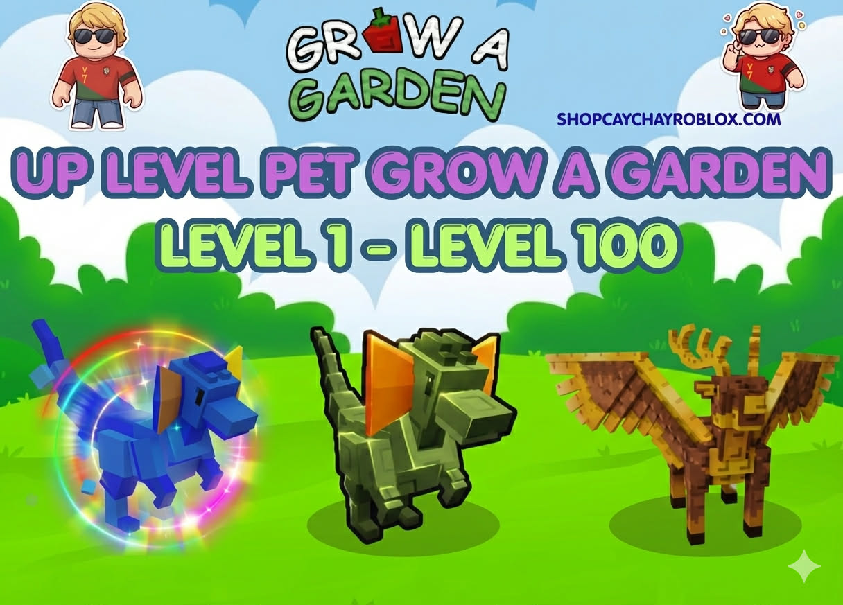 DICH VỤ UP LEVEL PET