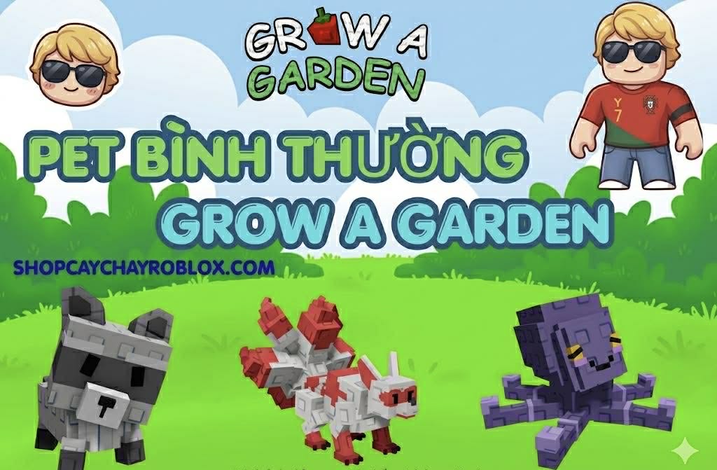 PET BÌNH THƯỜNG