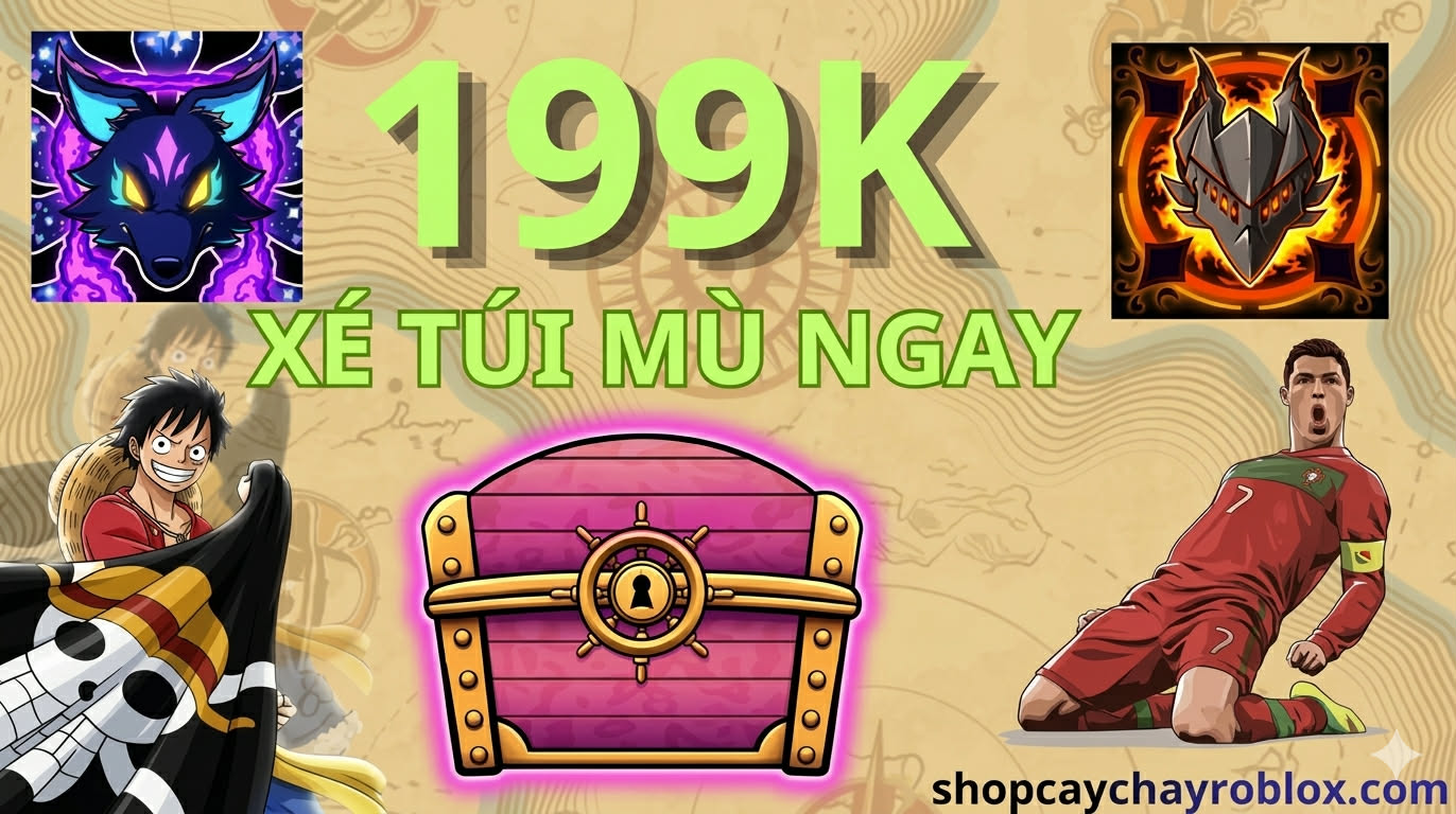TÚI MÙ 199K - QUÁ VIP