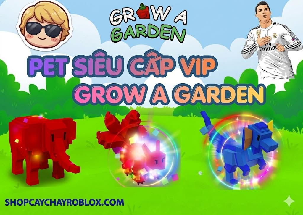 PET SIÊU XỊN