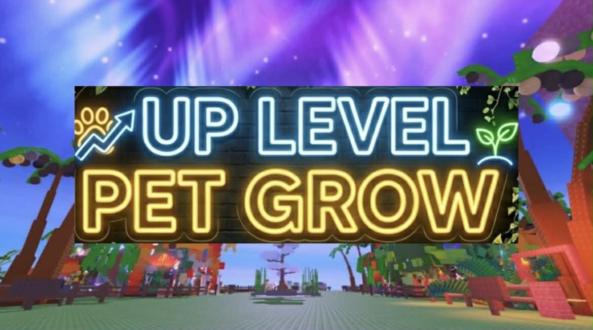 DICH VỤ UP LEVEL PET